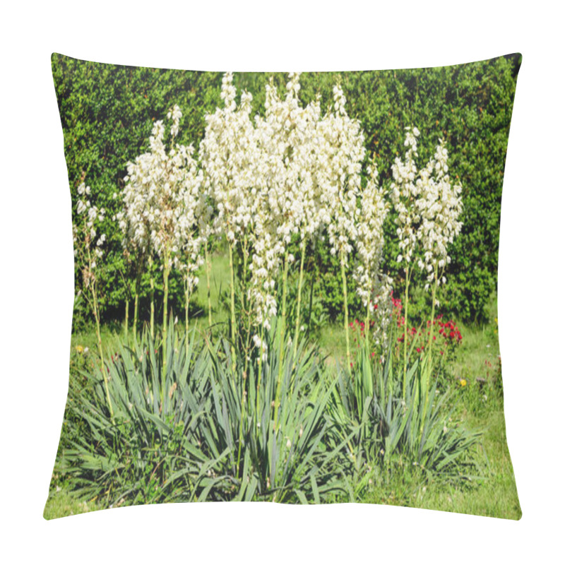 Personality  Many Delicate White Flowers Of Yucca Plant, Commonly Known As Adams Needle And Thread, In A Garden In A Sunny Summer Day, Beautiful Outdoor Floral Background Pillow Covers