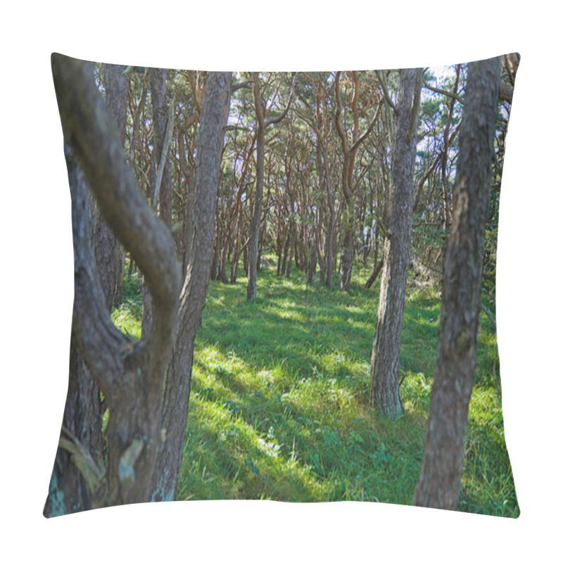 Personality  Forest On The Skerry Island Of Roeroe Pillow Covers