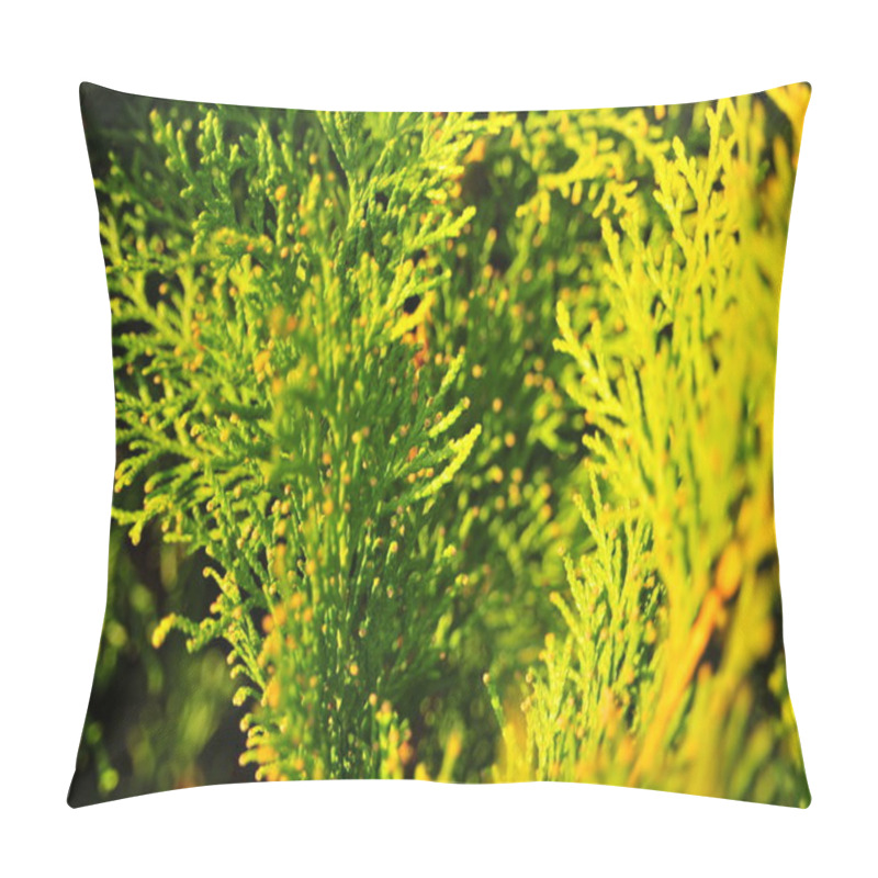 Personality  Green Leaves, Arborvitae Leaves (leaves Of Thuja, Thuya), Rowanberry Fruits Pillow Covers