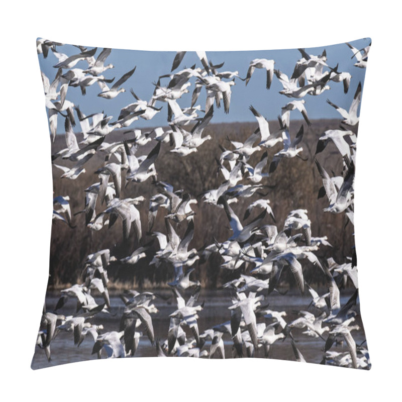 Personality  Flock Of Snow Geese Taking Off From The Wetlands Of Their Winter Home At Bosque Del Apache National Wildlife Refuge Pillow Covers