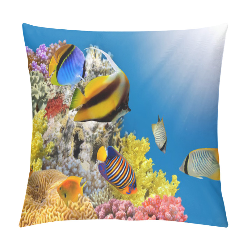 Personality  Photo Of A Coral Colony On A Reef Top Pillow Covers