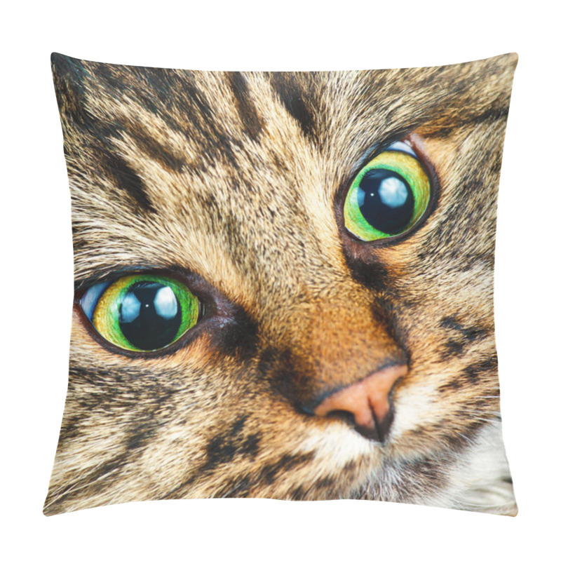 Personality  Siberian Cat Pillow Covers