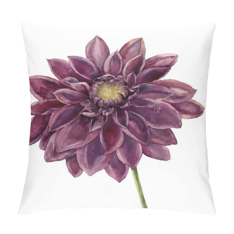 Personality  Watercolor Dahlia Flower. Hand Painted Autumn Floral Illustration Isolated On White Background. Botanical Illustration For Design Pillow Covers