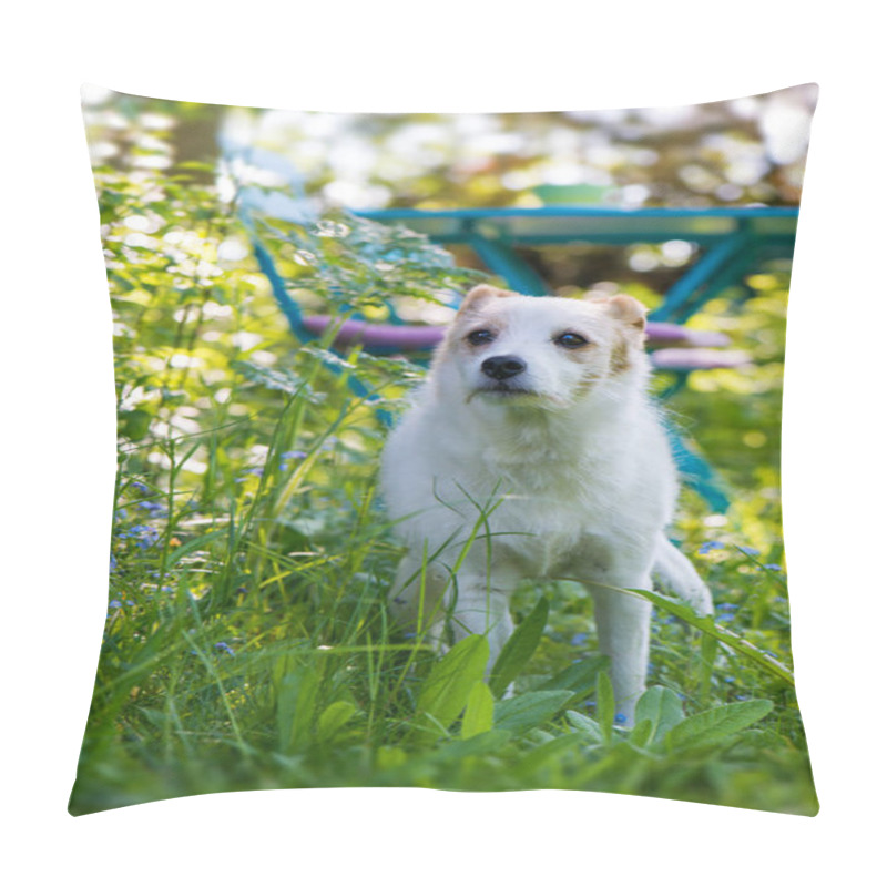 Personality  Terrier Dog In A Garden Pillow Covers