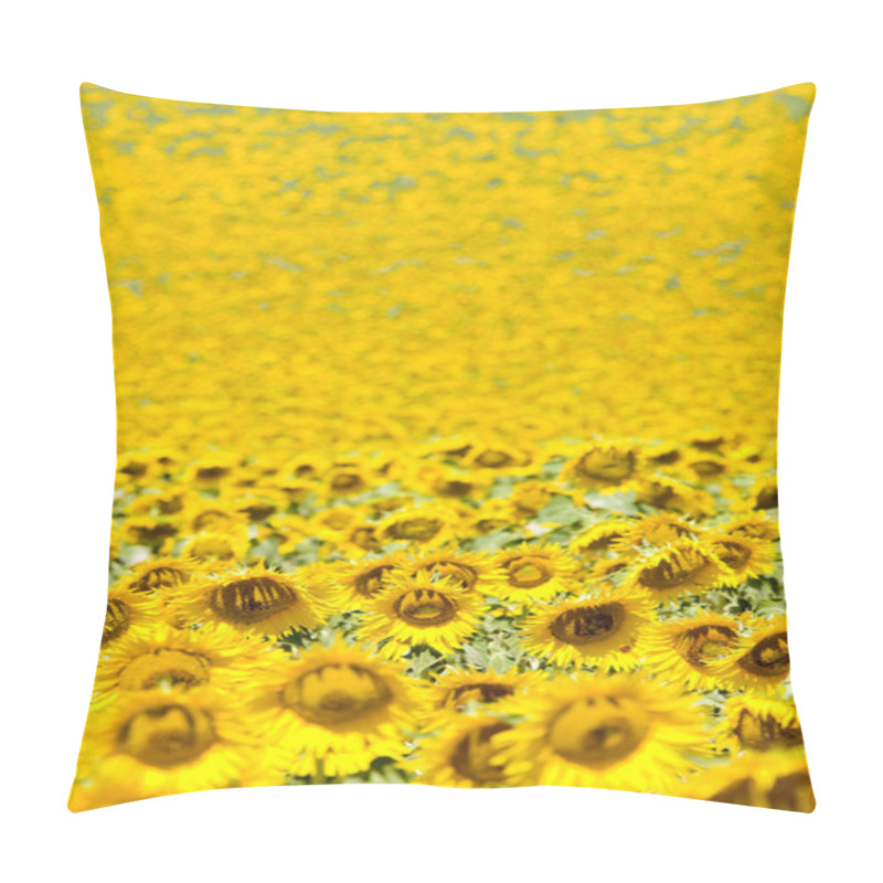 Personality  Sunflowers Pillow Covers