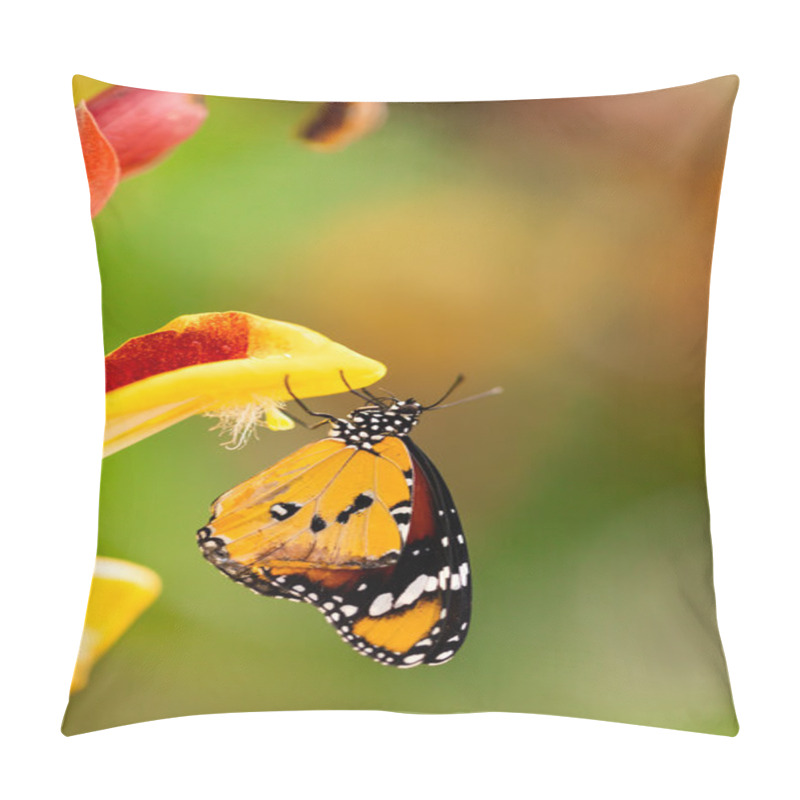 Personality  Closeup Butterfly On Flower Blossom Pillow Covers