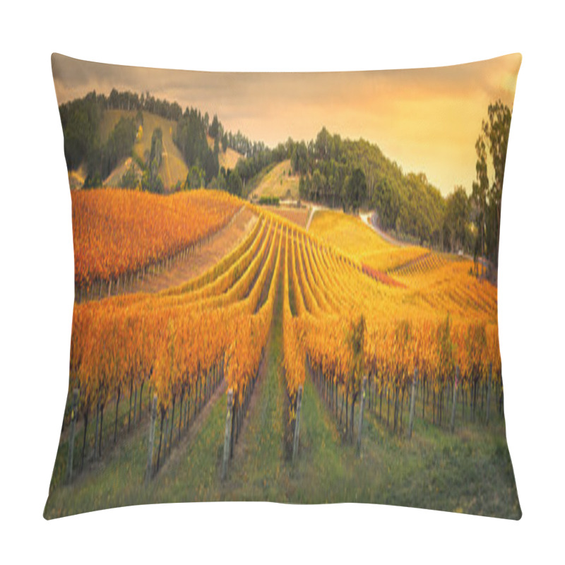 Personality  Golden Vineyard In South Australia Pillow Covers