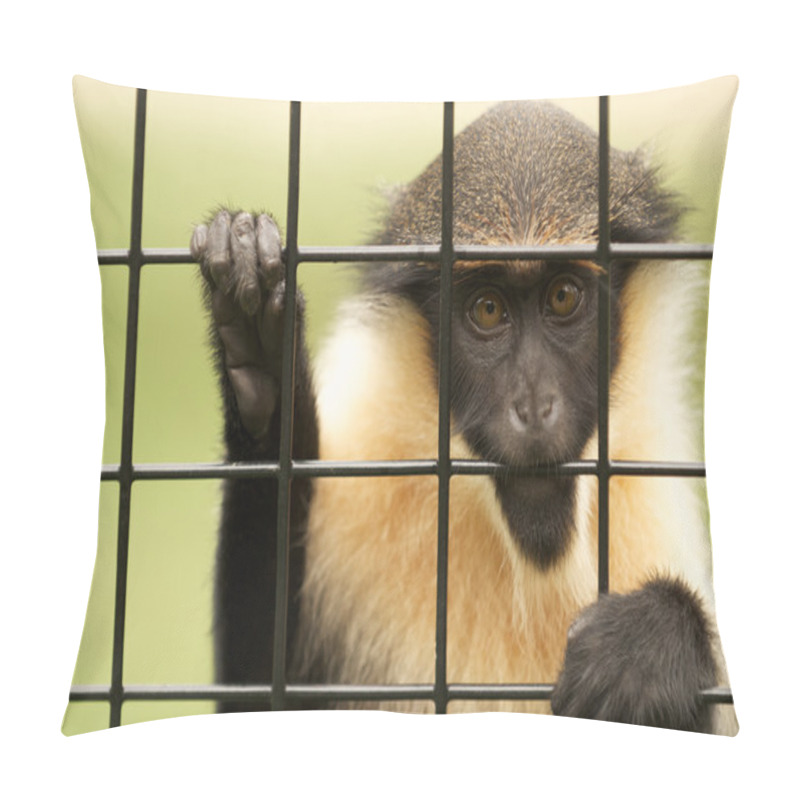 Personality  Caged Vervet Monkey. Pillow Covers