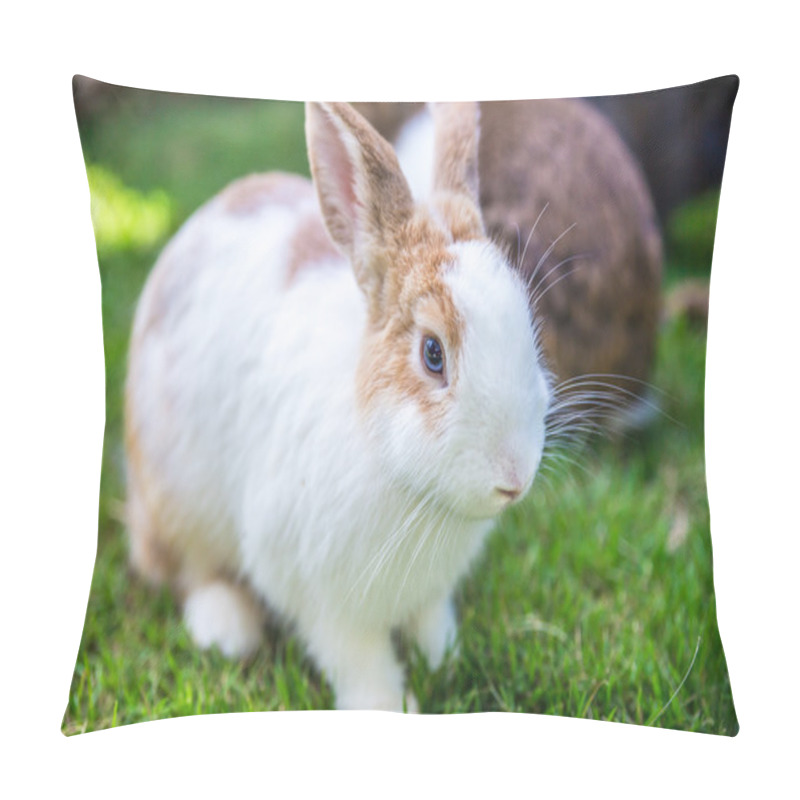 Personality  Cottontail Bunny Rabbit Eating Grass In The Garden Pillow Covers