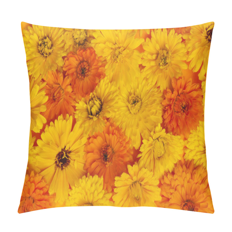 Personality  Calendula Flowers Background Pillow Covers