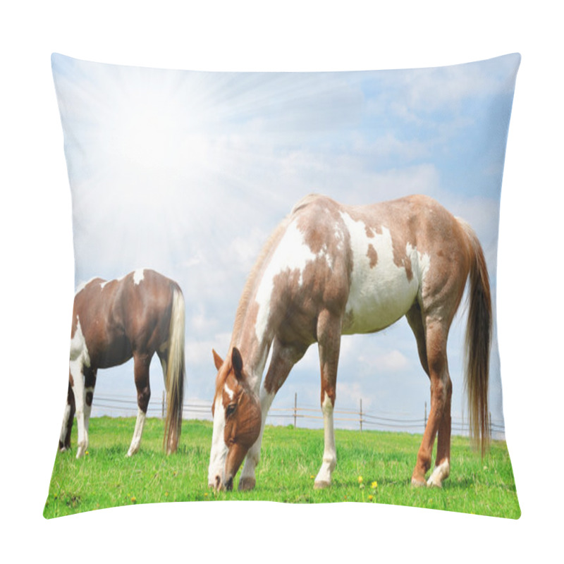 Personality  Horse In The Meadow Pillow Covers