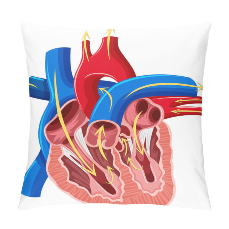 Personality  Diagram Of Inside Of Heart Pillow Covers