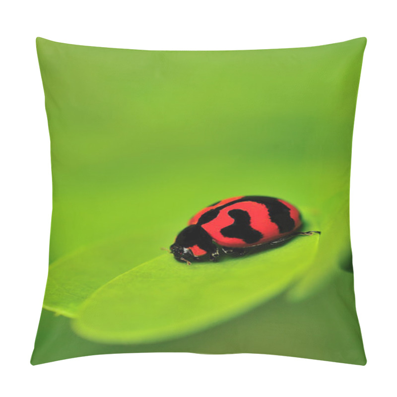 Personality  Lady Bug Pillow Covers