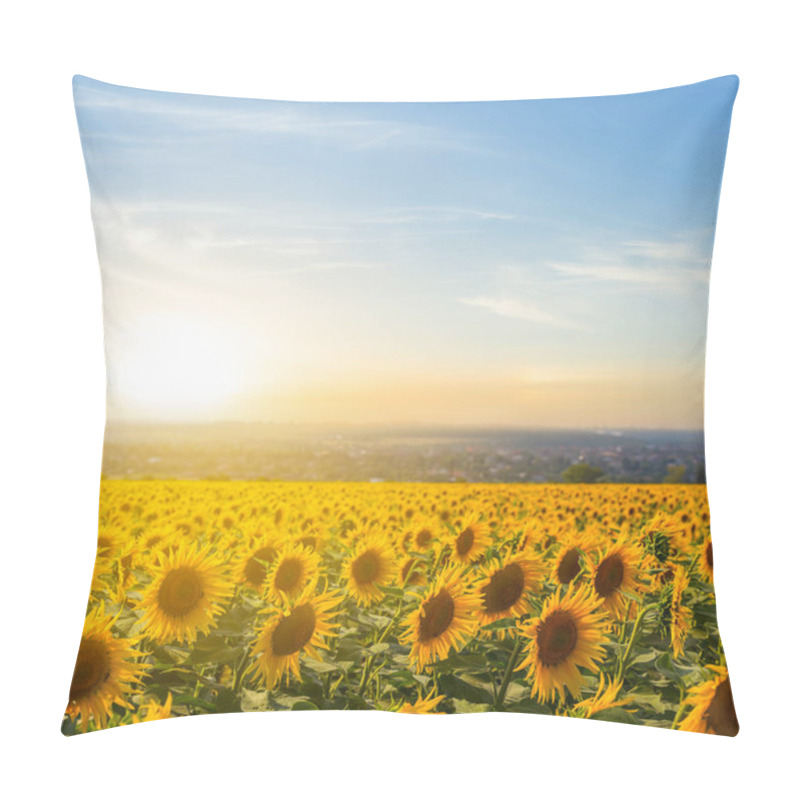 Personality  Golden Sunflower Field At The Sunset Pillow Covers