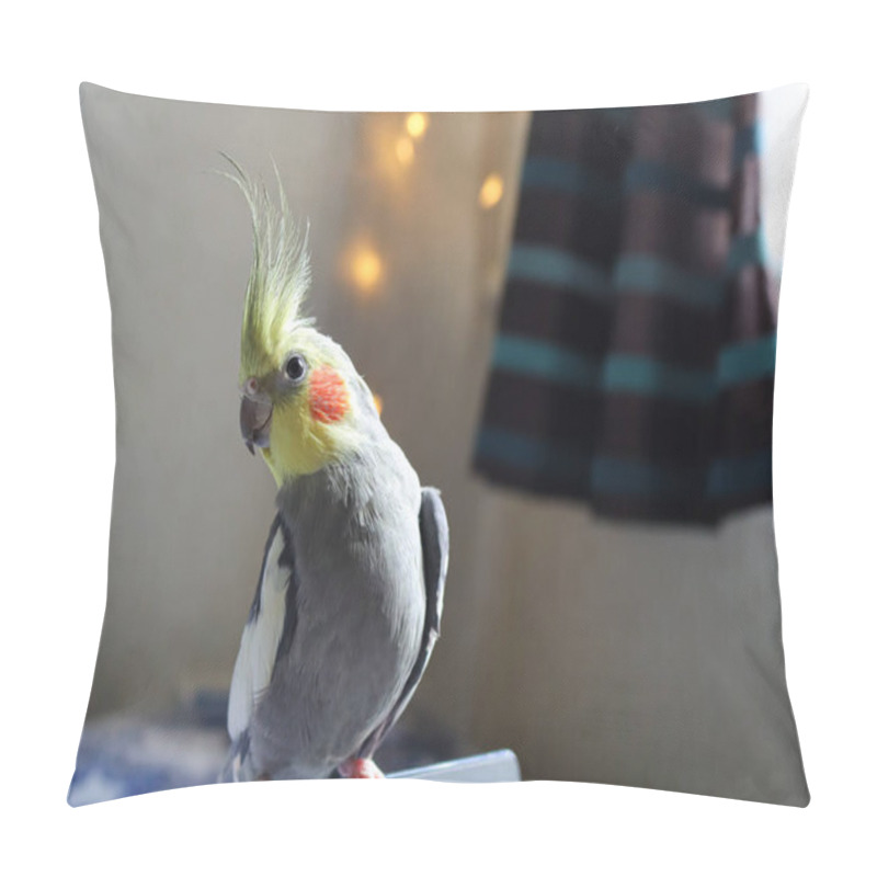 Personality  Yellow Cockatiel Parrot.Cute Cockatiel.Home Pet Parrot.The Best Cockatiel.Beautiful Photo Of A Bird. Ornithology.Funny Parrot.Cockatiel Parrot.Home Pet Yellow Bird.Beautiful Feathers.Love For Animals Pillow Covers