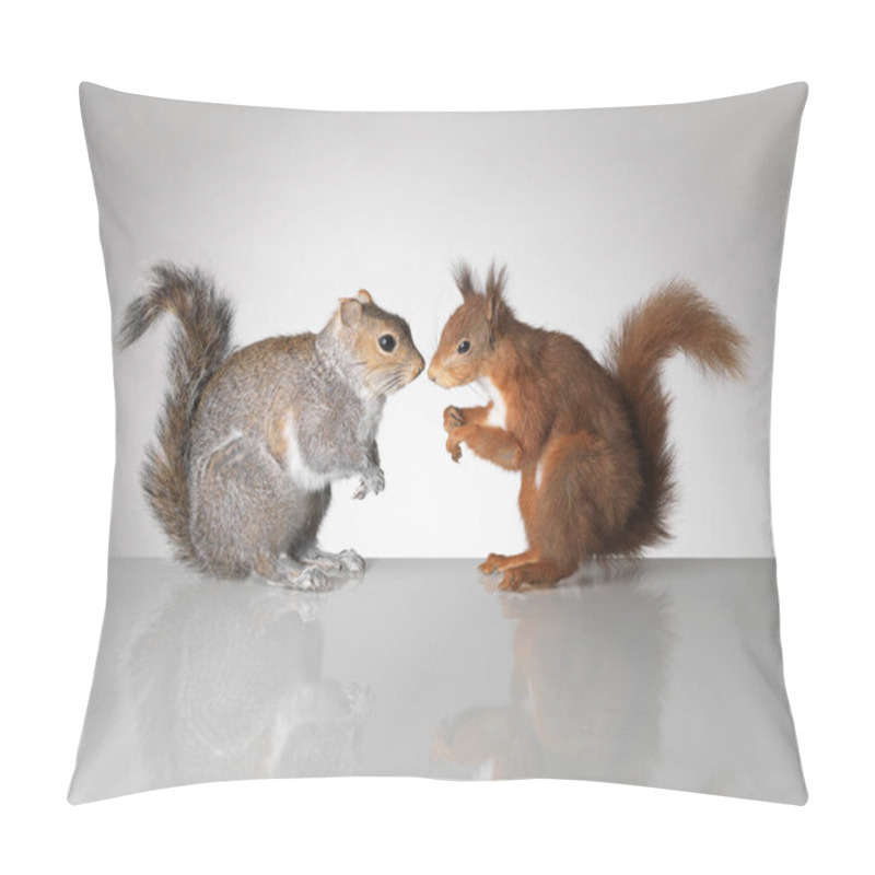 Personality  Red And Grey Squirrels Facing Each Other Pillow Covers