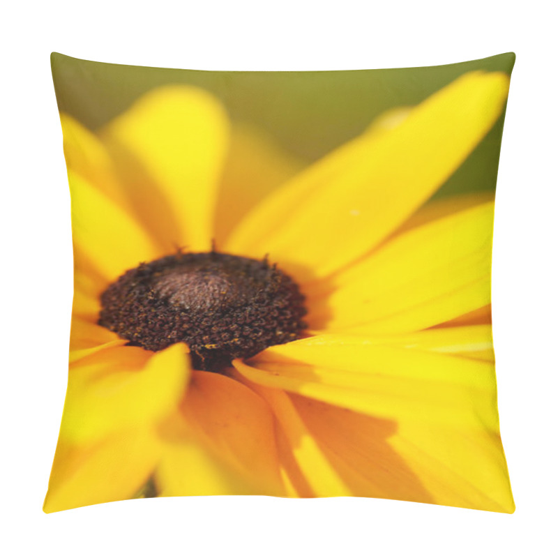 Personality  Closeup Of Yellow Black-eyed Susan Flowe Pillow Covers