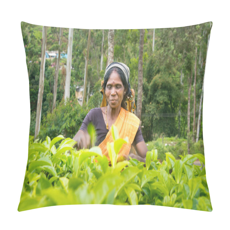 Personality  NUWARA ELIYA  SRI LANKA  APRIL 06 A Tamil Woman From Sri Lanka Breaks Tea Leaves On Tea Plantation With The Traditional Tea Plucking Method At Labookellie, Sri Lanka On 06th April 2015 Pillow Covers