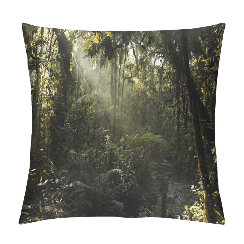 Personality  Bwindi Impenterable National Park Pillow Covers