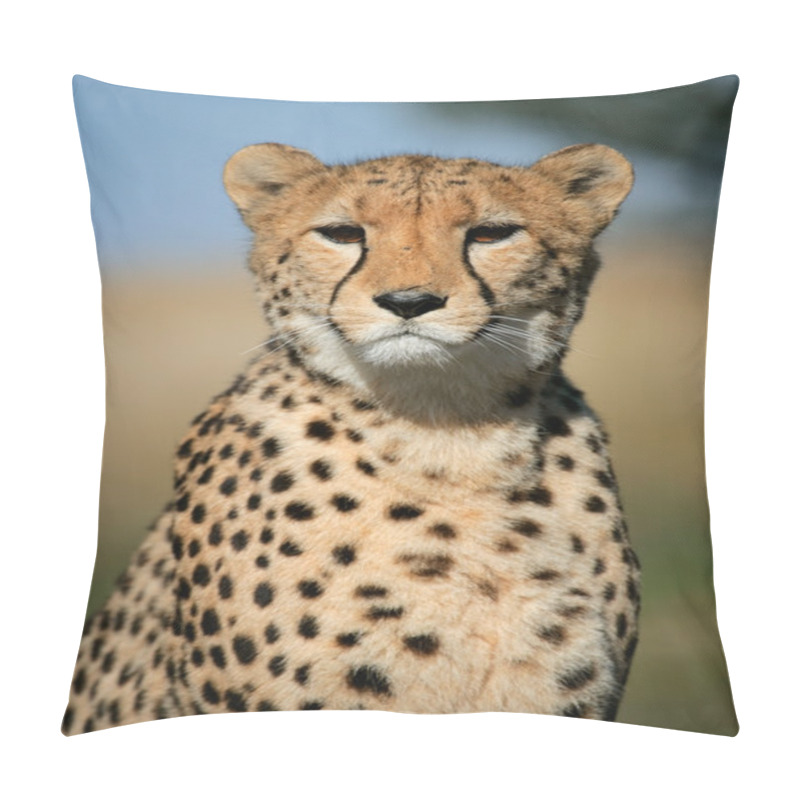 Personality  Cheetah Portrait Pillow Covers