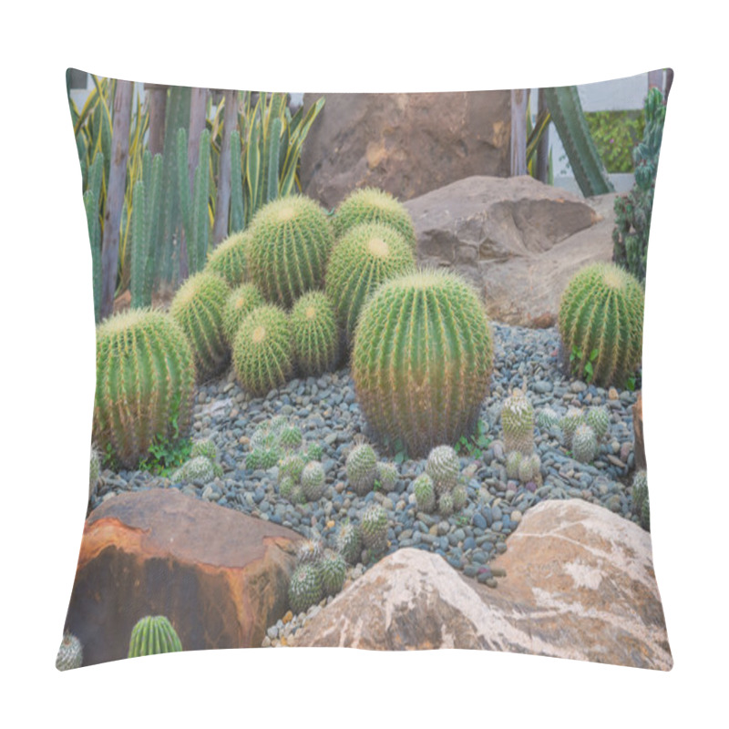 Personality  Beautiful Big Cactus In The Rock Garden Pillow Covers