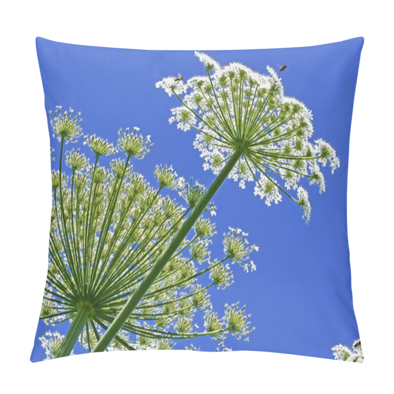 Personality  Giant Hogweed, In Latin: Heracleum Sphondylium Pillow Covers