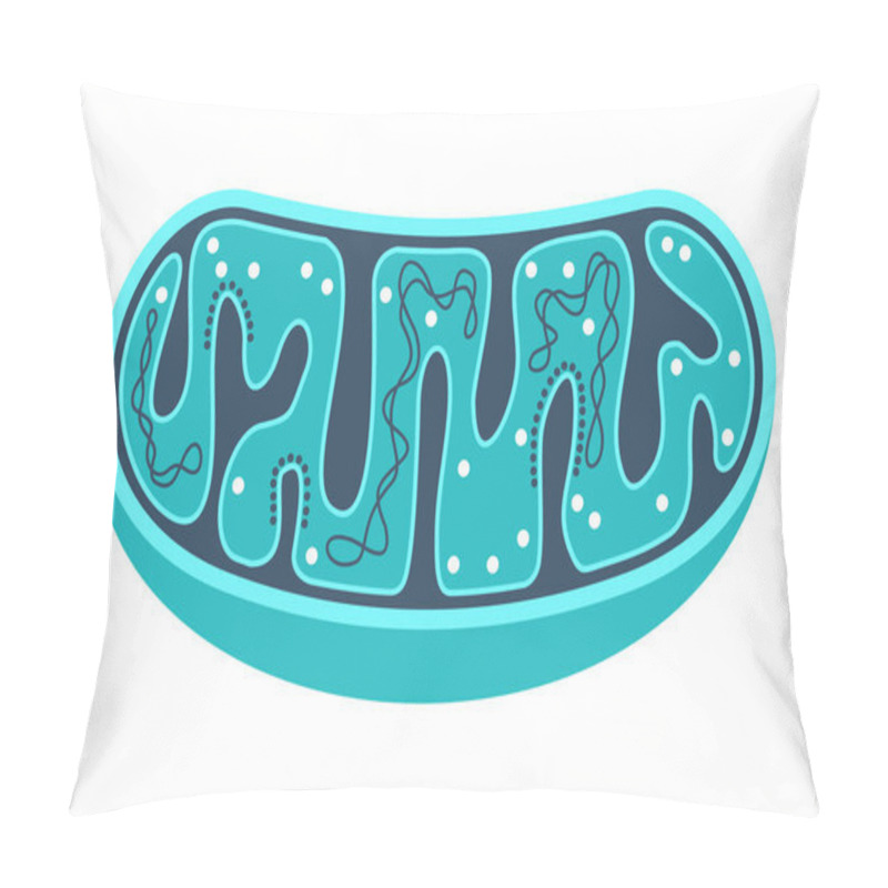 Personality  Mitochondria Slice With Ctructure And Components Pillow Covers