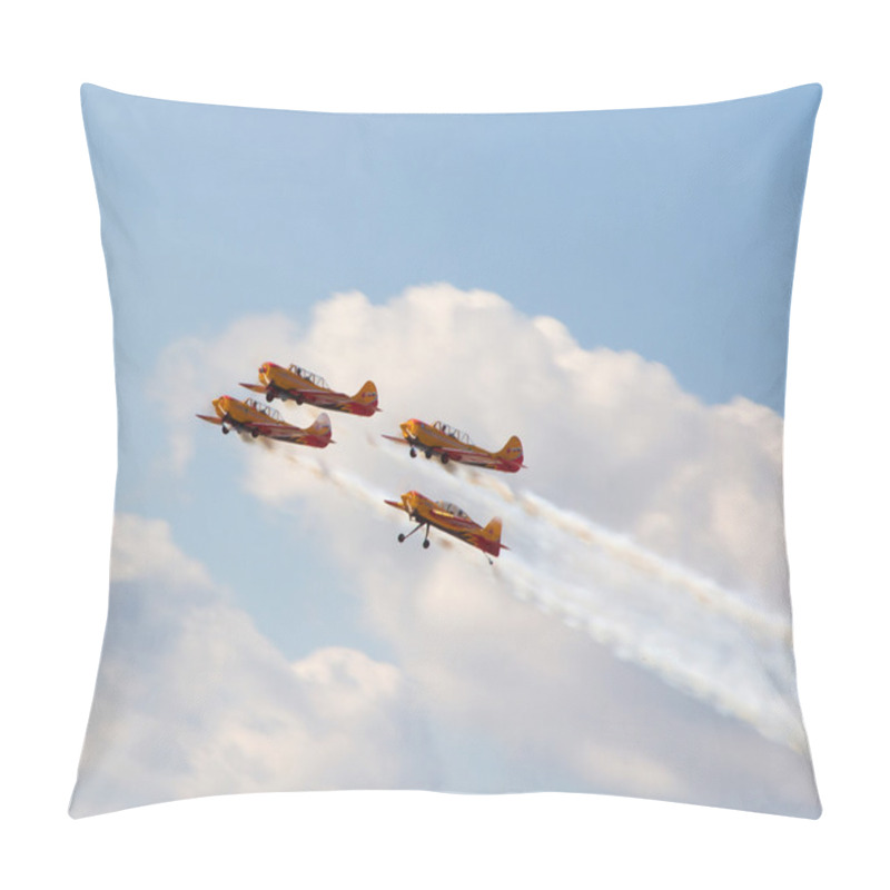 Personality  Yak-52 Pillow Covers