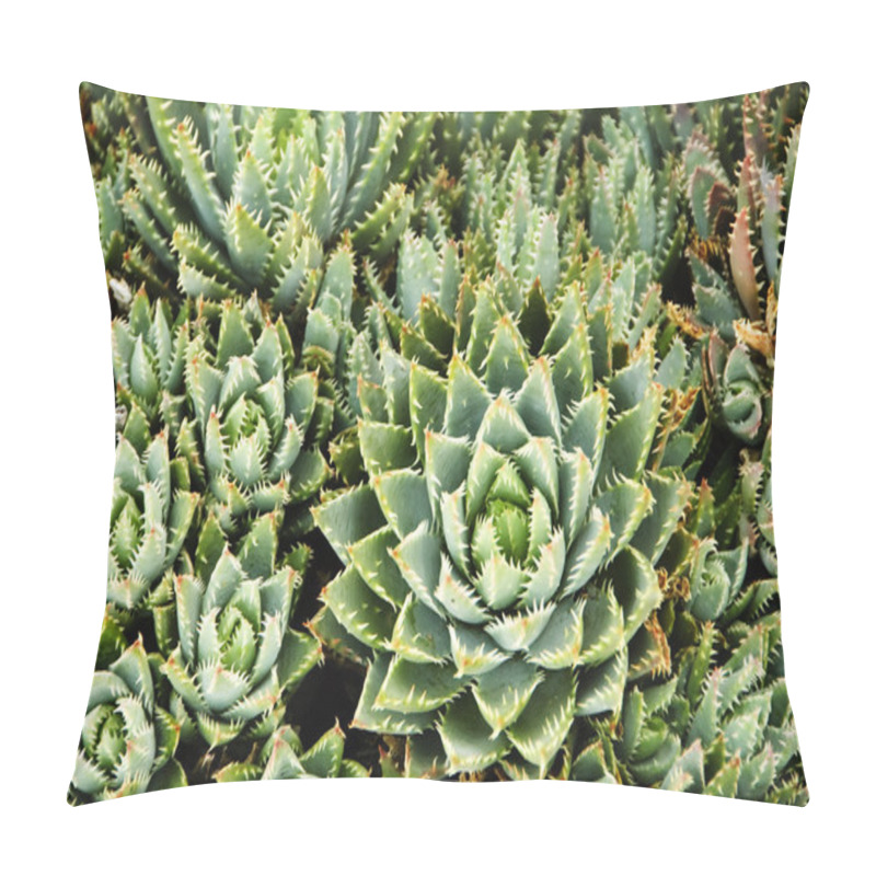 Personality  Cactus Pillow Covers