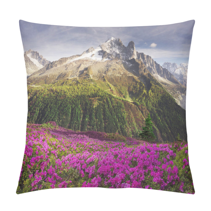 Personality  Alpine Rhododendrons On The Mountain Fields Of Chamonix Pillow Covers