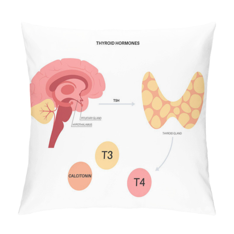 Personality  Thyroid Hormones Diagram Pillow Covers