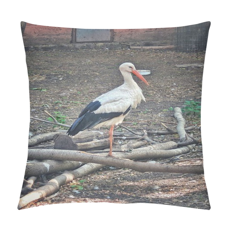 Personality  A White Stork With Black Wings And Red Legs Stands On A Tree Branch In A Zoo Enclosure, With A Blurred Background Featuring Another Stork And A Goose In Motion. Pillow Covers