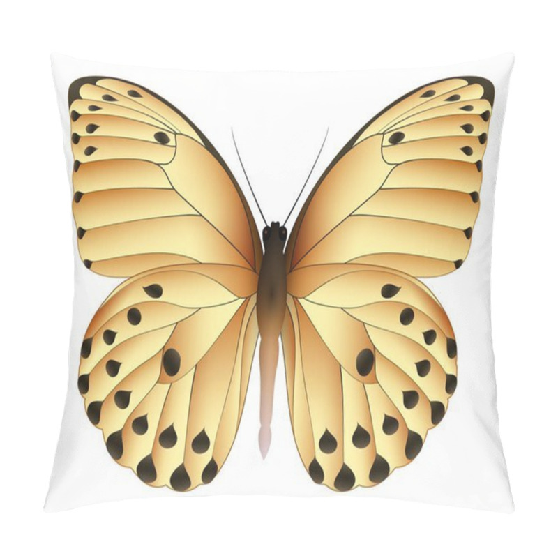 Personality  Beautiful Butterfly Isolated On A White Background Pillow Covers