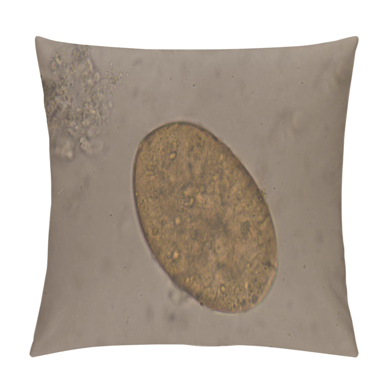 Personality  Big Size Fasciola Parasite Egg. Pillow Covers