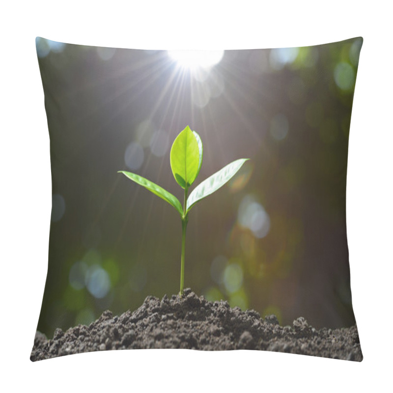 Personality  Young Plant In The Morning Light On Nature Background Pillow Covers