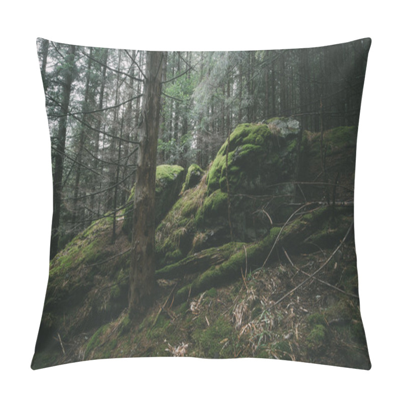 Personality  Foggy Forest Landscape Pillow Covers