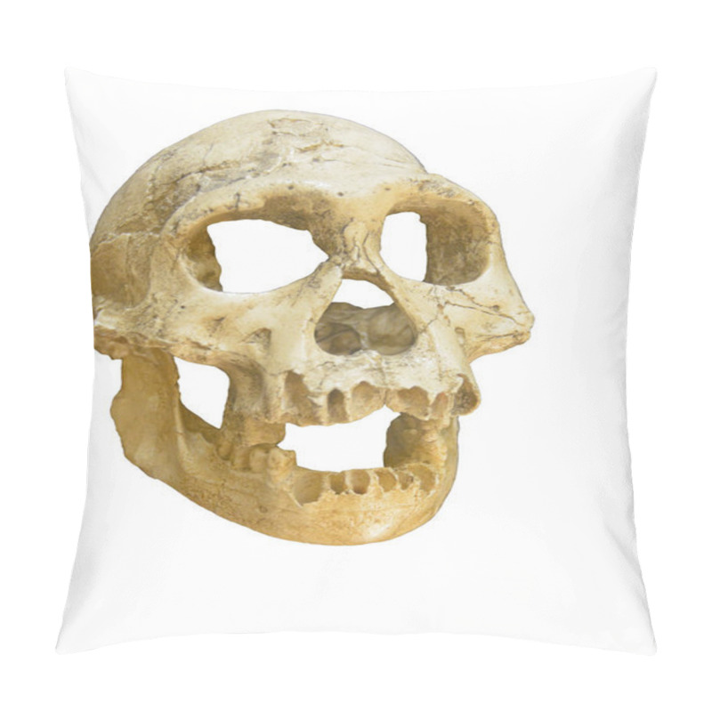 Personality  Neanderthal Skull From About 90,000 Years Ago Pillow Covers