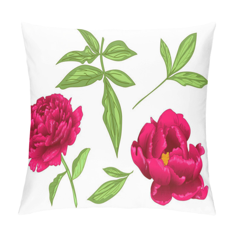 Personality  Vector Red Peony Floral Botanical Flower. Wild Spring Leaf Wildflower Isolated. Red And Green Engraved Ink Art. Isolated Peony Illustration Element On White Background. Pillow Covers