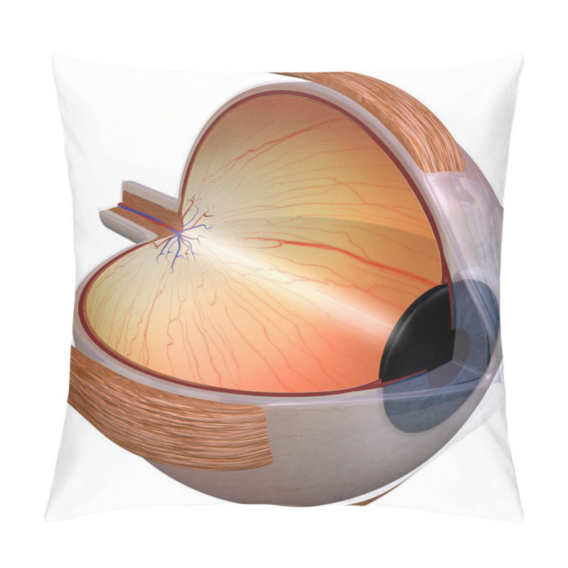 Personality  Eye Diagram Three Quarter View Pillow Covers