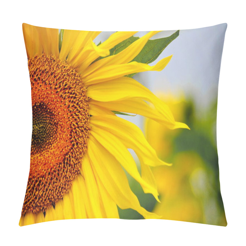 Personality  Luxurious Flora Altaya Pleases Eye Of The Artist,travellier Pillow Covers