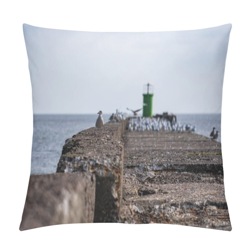 Personality  A Serene Scene Of A Sea Pier With Seagulls In The Background, Featuring A Close-up Of One Seagull, Capturing The Peaceful Coastal Atmosphere Pillow Covers