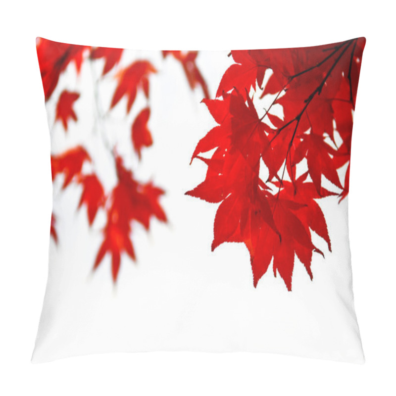 Personality  Red Fall Leaves Of Japanese Maple Isolated On White Background Pillow Covers