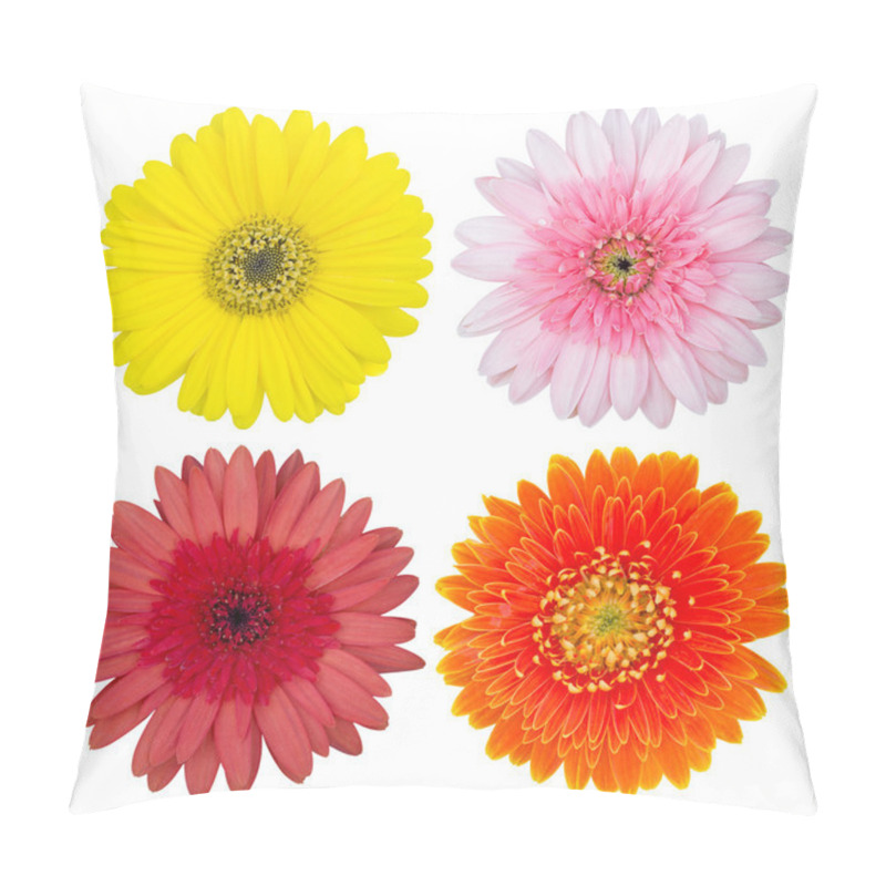 Personality  Set Of Gerbera Flower Isolated On White With Clipping Path Pillow Covers