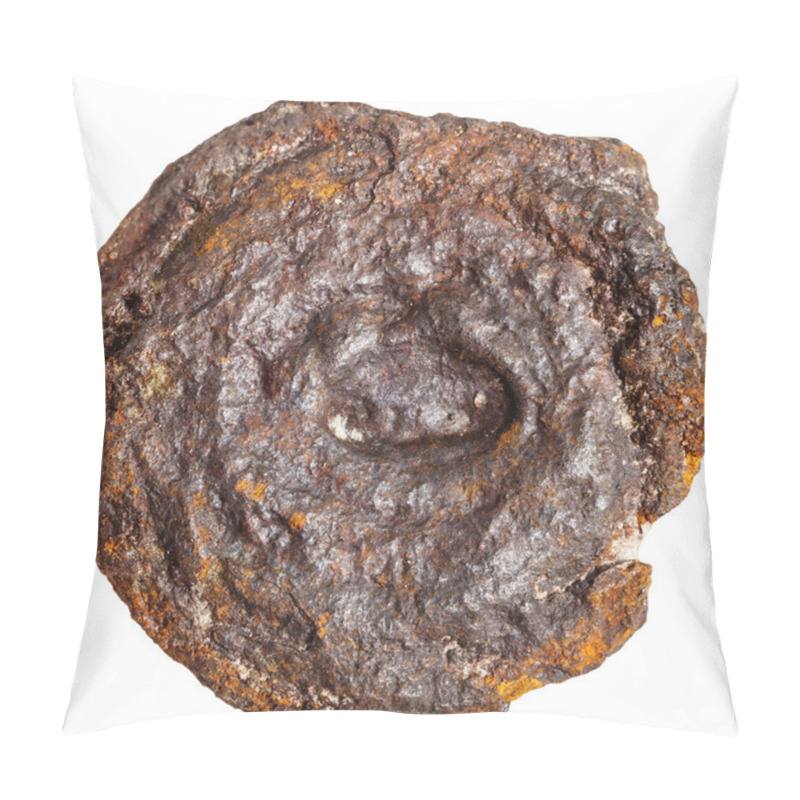 Personality  Native Limonite Stone Isolated On White Pillow Covers