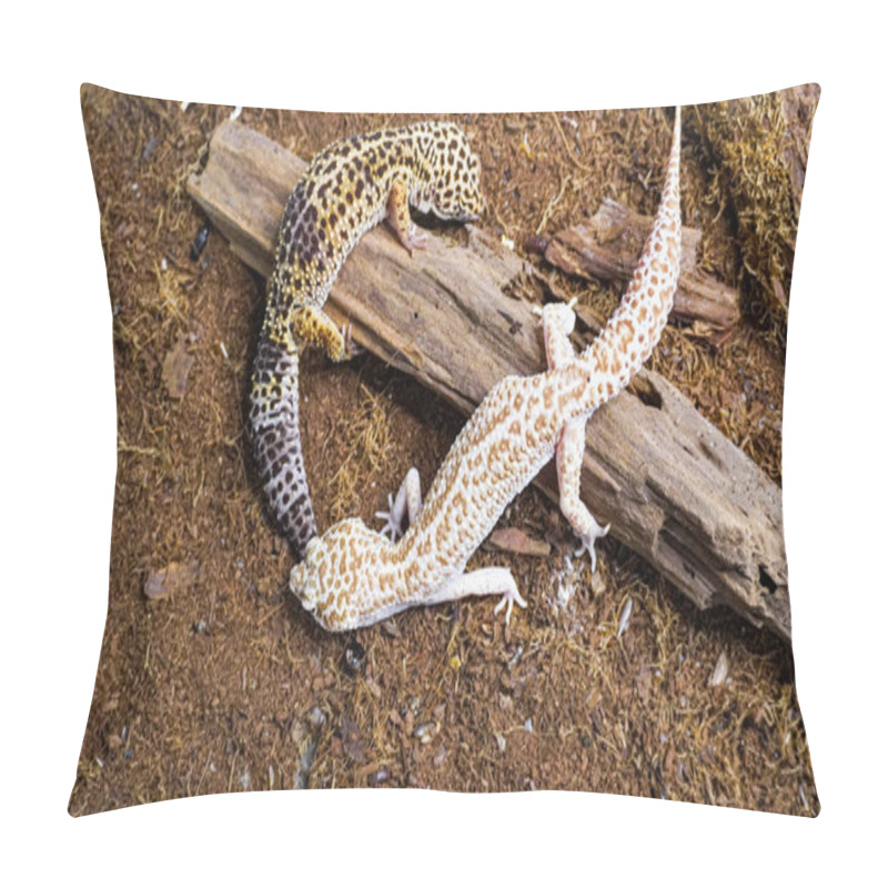 Personality  Close-up Of A Leopard Gecko, A Popular Exotic Pet With Vibrant, Spotted Skin, Scales, And Unique Colors. This Nocturnal Reptile Thrives In Desert Habitats, Showcasing Natural Camouflage And Predator Instincts. Pillow Covers