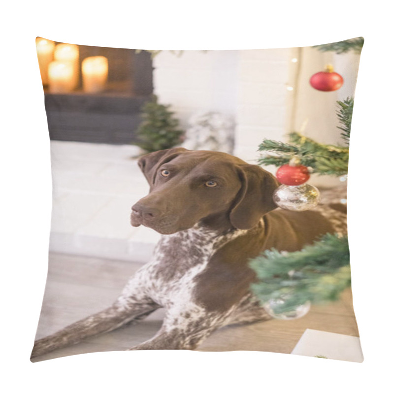 Personality  Dog Laying Under The Christmas Tree Pillow Covers