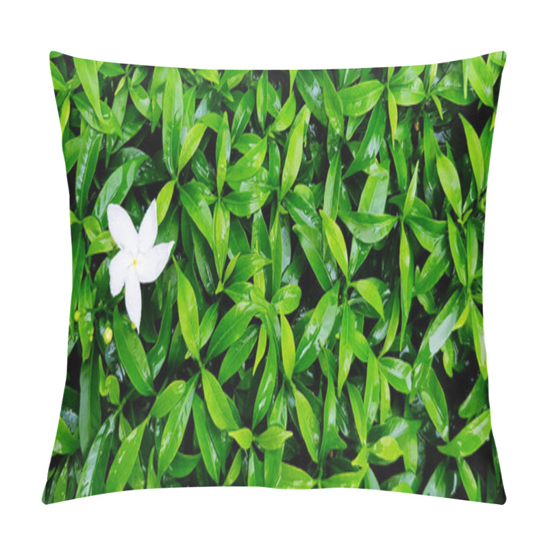 Personality  Fresh Gardenia Flower With Raindrop And Pattern Of Green Leaves For Background With Right Copy Space. Beauty Of Nature And Natural Wallpaper. Pillow Covers