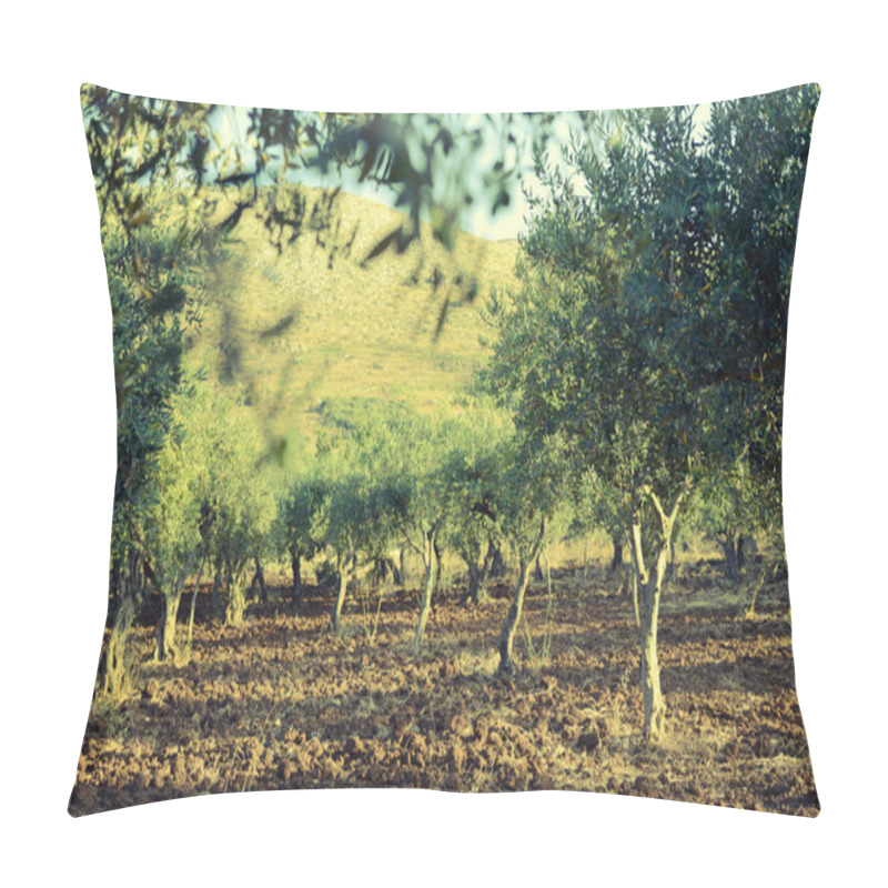 Personality  Olive Trees Garden Pillow Covers