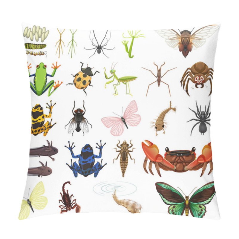 Personality  Different Kinds Of Insects And Animals On White Background Illustration Pillow Covers