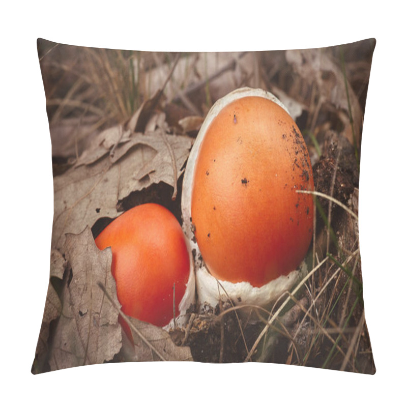 Personality  Close Up Of Red Caesar Mushroom In The Autumn Forest Pillow Covers